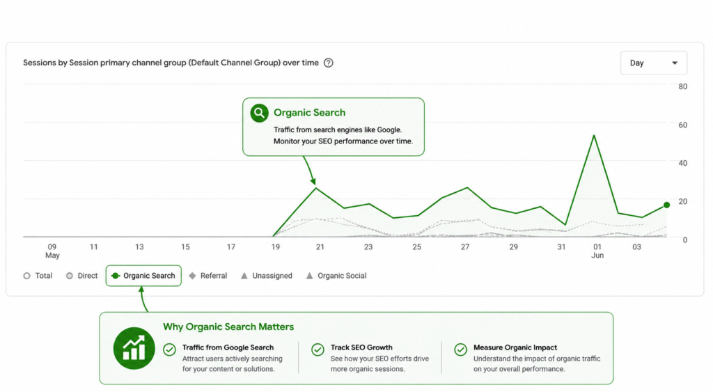 Google Analytics 4 acquisition report highlighting the Organic Search channel and organic traffic performance over time.