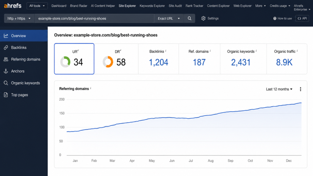Ahrefs Site Explorer Overview dashboard with SEO metrics and referring domains chart.